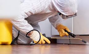 Best Residential Pest Control  in Clearwater, KS